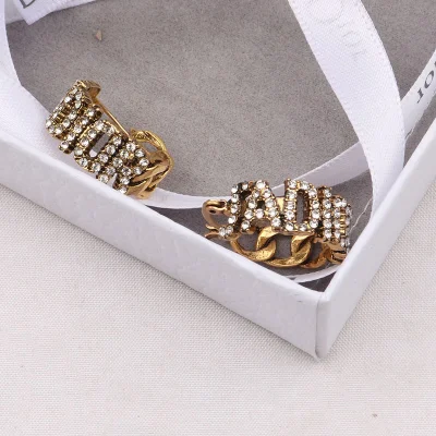 2022 Accessori moda alla moda di lusso Orecchini a cerchio con lettere in argento dorato